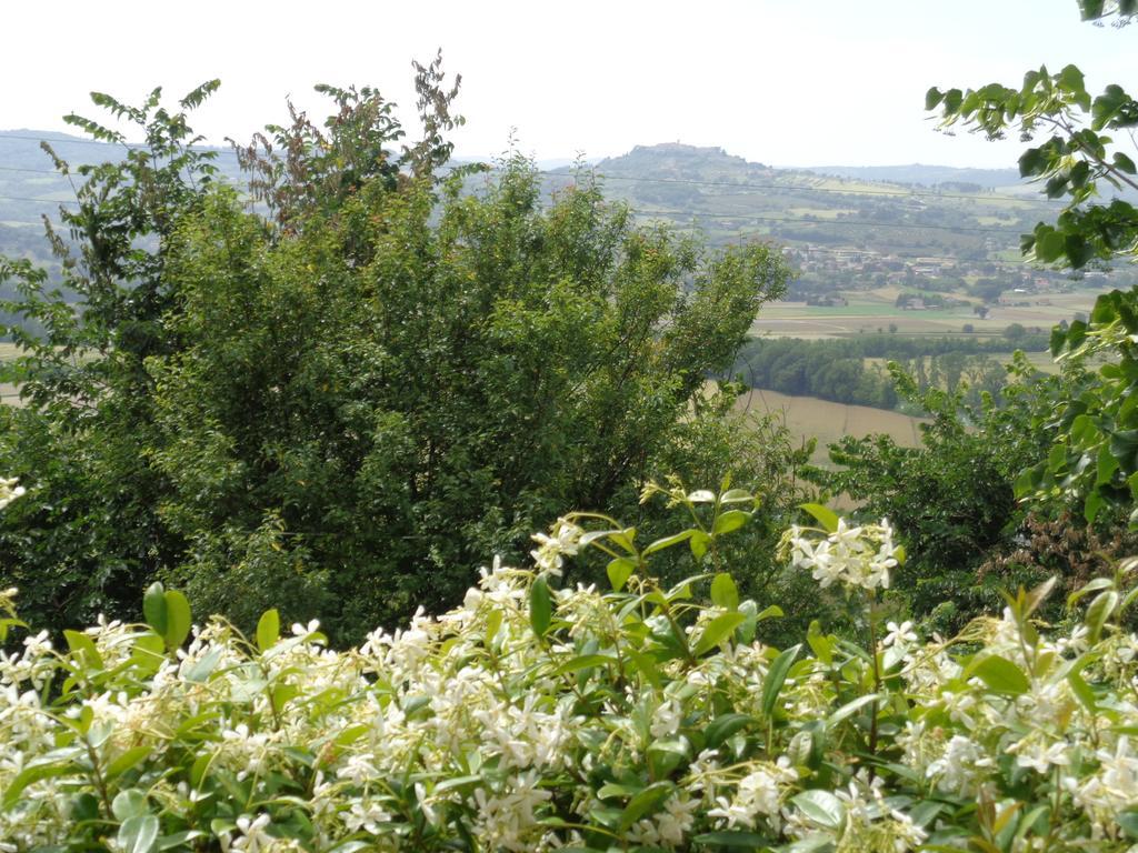 טודי Agriturismo La Torraccia מראה חיצוני תמונה